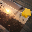 Field Of Spiders Playmat