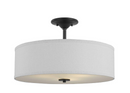Progress Lighting Inspire Collection Graphite 3-Light 18in Semi-Flush Mount