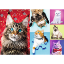 1000 Piece Jigsaw Puzzles, Happy Cats, Pets, Silly Animals, Cats and Kittens, Adult Puzzles, Trefl 10591