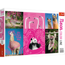 1000 Piece Jigsaw Puzzles, Crazy Animals, Silly Animals, Panda, Llama, Sloth, Flamingo, Adult Puzzles, Trefl 10594