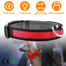 LED Dog Collar USB Rechargeable Adjustable Dog Safety Collar Night Safety Flashing Luminous Light up Collar