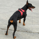 Pet Saddle Chest Strap Camouflage Outdoor Traction Dog Vest