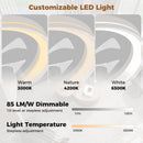 19 Inch Ceiling Fan Low Profile Flush Mount Fan with 3000-6500K Dimmable LED-White