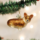 Pembroke Welsh Corgi