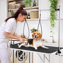 Foldable Dog Grooming Table with Height Adjustable Arms-Black