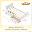 Twin Size Sleigh Bed with 2 Storage Drawers Wood Platform Bed Frame
