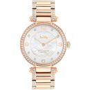 Coach Women's Cary Rose