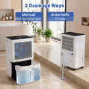 32 Pint Dehumidifier with Drain Hose for 2000 Sq Ft