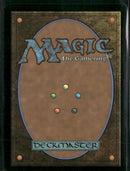 Hallowed Fountain #0265 Rare - Magic: The Gathering Eternal Collection