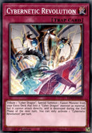 Cybernetic Revolution | LDS2-EN037