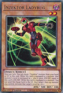 Inzektor Ladybug | GRCR-EN042