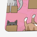 Cats in Boxes Playmat
