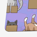 Cats in Boxes Playmat