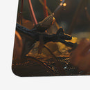 Squirrel Searcher Playmat