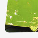 Bronze Arrow Frog Playmat