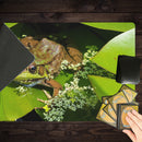 Bronze Arrow Frog Playmat
