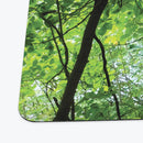 Greenwood Path Playmat