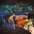 Lantern Lit Frog Playmat