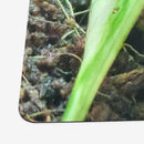 Patient Glutton Playmat