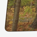 Path of Autumn Playmat