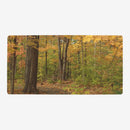 Path of Autumn Playmat