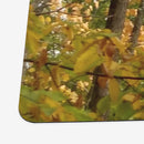 Spectrum of Seasons Playmat