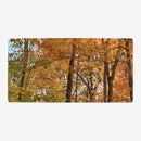 Spectrum of Seasons Playmat