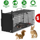 26in Single Door Live Animal Cage Trap For Animals Under 5LBS Easy To Setup Humane Galvanized Iron Trap Cage For Small Cats Rabbits Squirrels Moles Ch