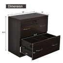 2-Drawer File Cabinet with Lock Hinging Bar Letter and Legal Size