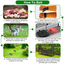 40in Live Animal Trap Cage - Humane Catch & Release