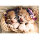 500 Piece Jigsaw Puzzles, Sleeping Kittens, Baby Animals, Pets, Cats, Adult Puzzles, Trefl 37271