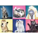 500 Piece Jigsaw Puzzle, Kittens, Silly Pets, Cat Collage, Adult Puzzles, Trefl 37377