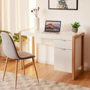 Modern Computer Desk