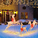 3 Pieces Lighted Christmas Reindeer Family Set with 255 Lights