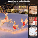 3 Pieces Lighted Christmas Reindeer Family Set with 255 Lights