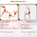 3 Pieces Lighted Christmas Reindeer Family Set with 255 Lights