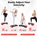 3-in-1 Aerobic Step Platform with Risers and Balance Trainers