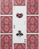The Lepidopterist Playing Cards