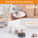 No Spill Dog Cat Water Bowl Spill Proof Slow Water Feeder 47.35oz Pet Water Dispenser Travel Dog Bowl for Dogs/Cats/Pets