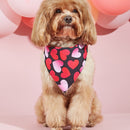 Pet Dog Printing Accessories Scarf Saliva Towel