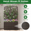 49 Inch Raised Garden Bed with Trellis and Wicker Planter Box