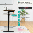 48 Inch Electric Sit to Stand Desk with Keyboard Tray