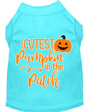 Halloween Pet Dog & Cat Shirt Screen Printed, "Cutest Pumpkin In The Patch"