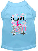 Pet Dog & Cat Shirt Screen Printed, "All About That XOXO"