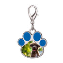 Personalized Paw Print Photo Keychain & Clip-On Charm