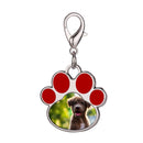 Personalized Paw Print Photo Keychain & Clip-On Charm