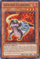 Evoltile Casinerio | ORCS-EN026