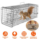 Humane Cat Trap Cage Catch Release Live Animal Rodent Cage Collapsible Galvanized Wire for Small Raccoons Beavers Groundhogs Foxes Armadillos