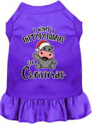 Christmas Pet, Dog and Cat Dress Screen Printed, "I Want A Hippopotamus For Christmas"