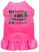 Christmas Pet, Dog and Cat Dress Screen Printed, "He's Making A List, I've Eaten It Twice"